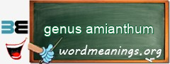 WordMeaning blackboard for genus amianthum